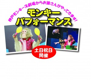 モンキーパフォーマンス