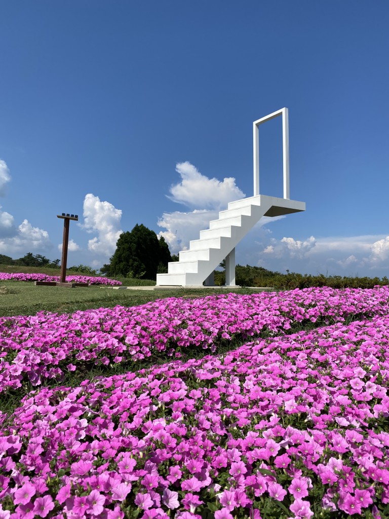 びわこ箱館山