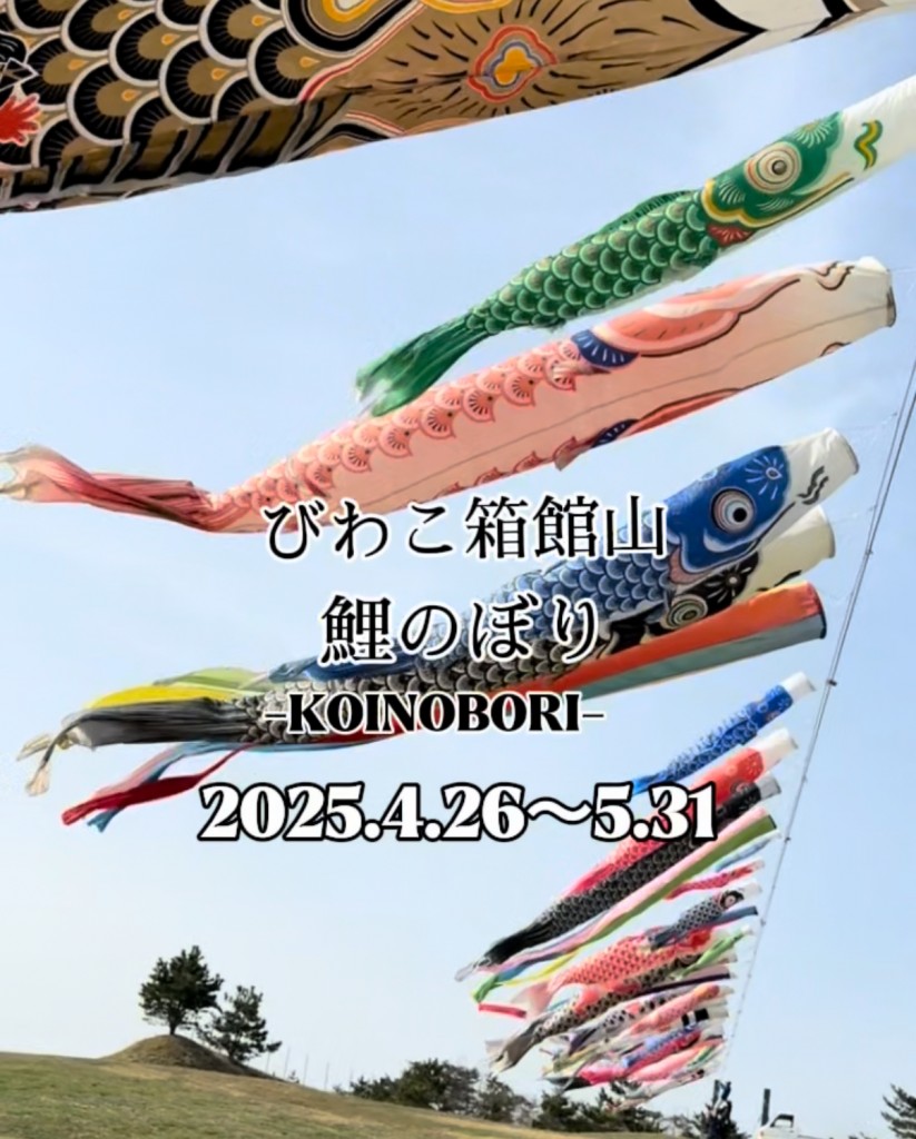 鯉のぼり2025箱館山