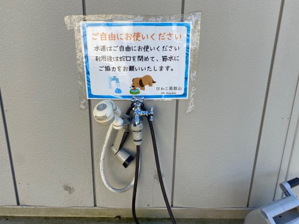 ワンちゃん用水道