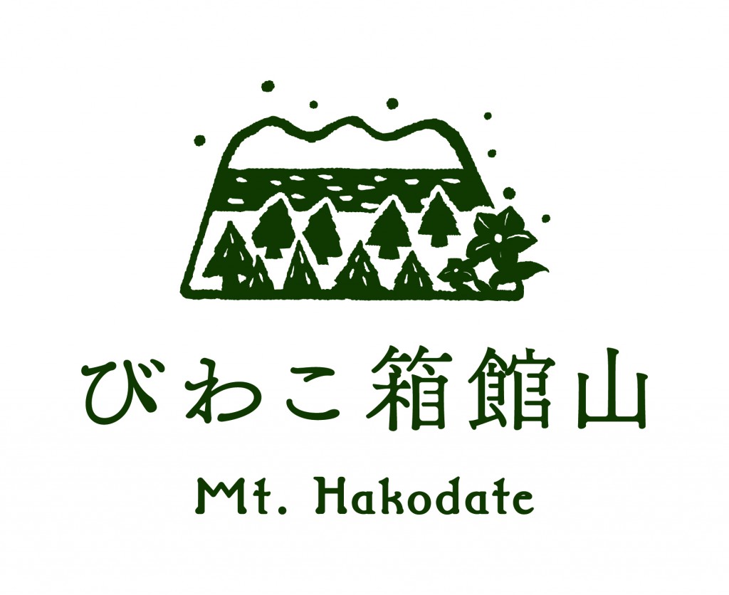 ゲレンデ状況